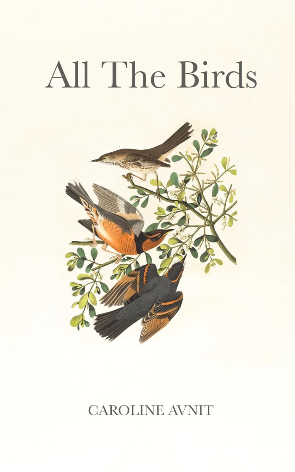 All the Birds by Caroline Avnit